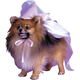 Princess Pet Costume