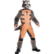 Rocket Raccoon Child Costume