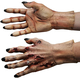 Horrific Death Hands